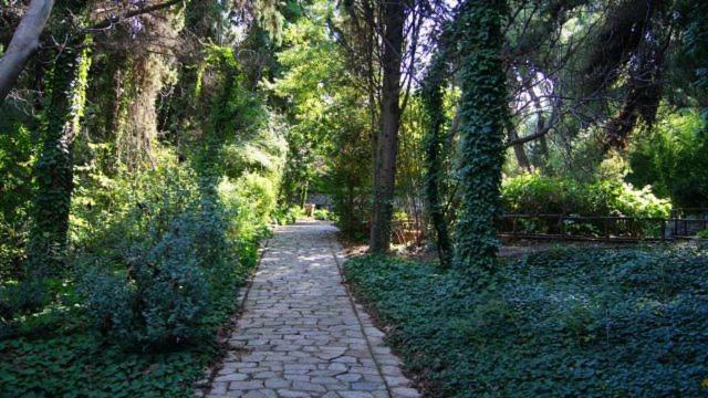 雅典Greek Hospitality 2公寓 外观 照片